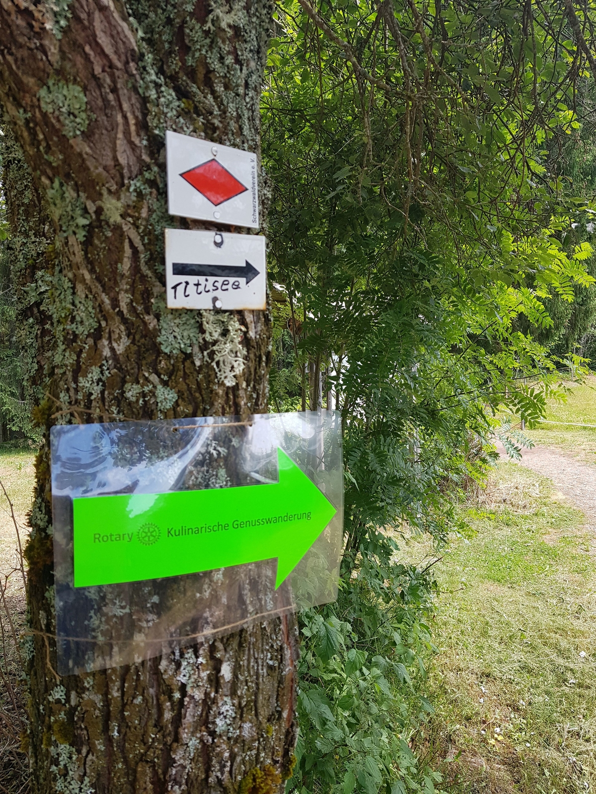 2019, genusswandern, schwarzwald, rc furtwangen-triberg