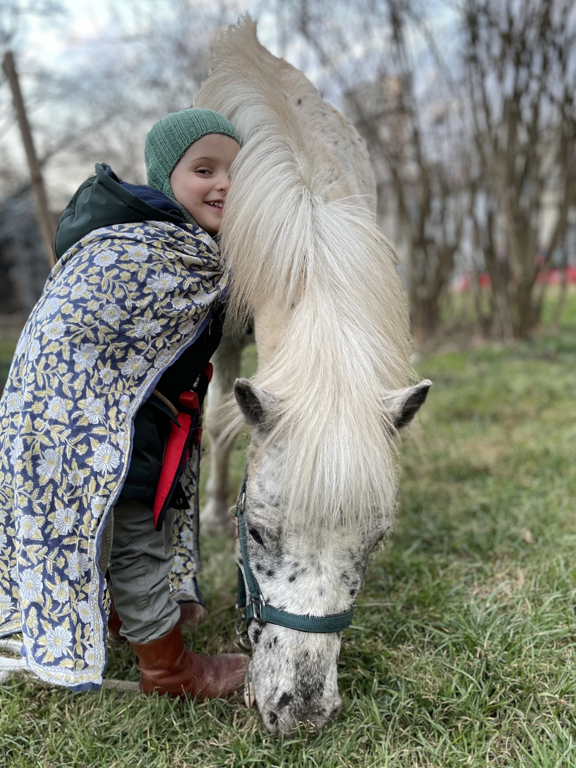 Trostspender vom Dienst:Das kleine getupfte Pony Frederik ist eins der Nachwuchs-Therapieponys. Es spaziert gerne in den Wohnungen umher und bietet immer eine Schulter zum Anlehnen für die Kinder auf dem Lichtblickhof