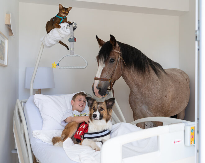 Der sanfte, sensible Riese Kurumi – das bedeutet „der Regenbogen” – passt gerne auf seine Kinder auf und liebt Hunde