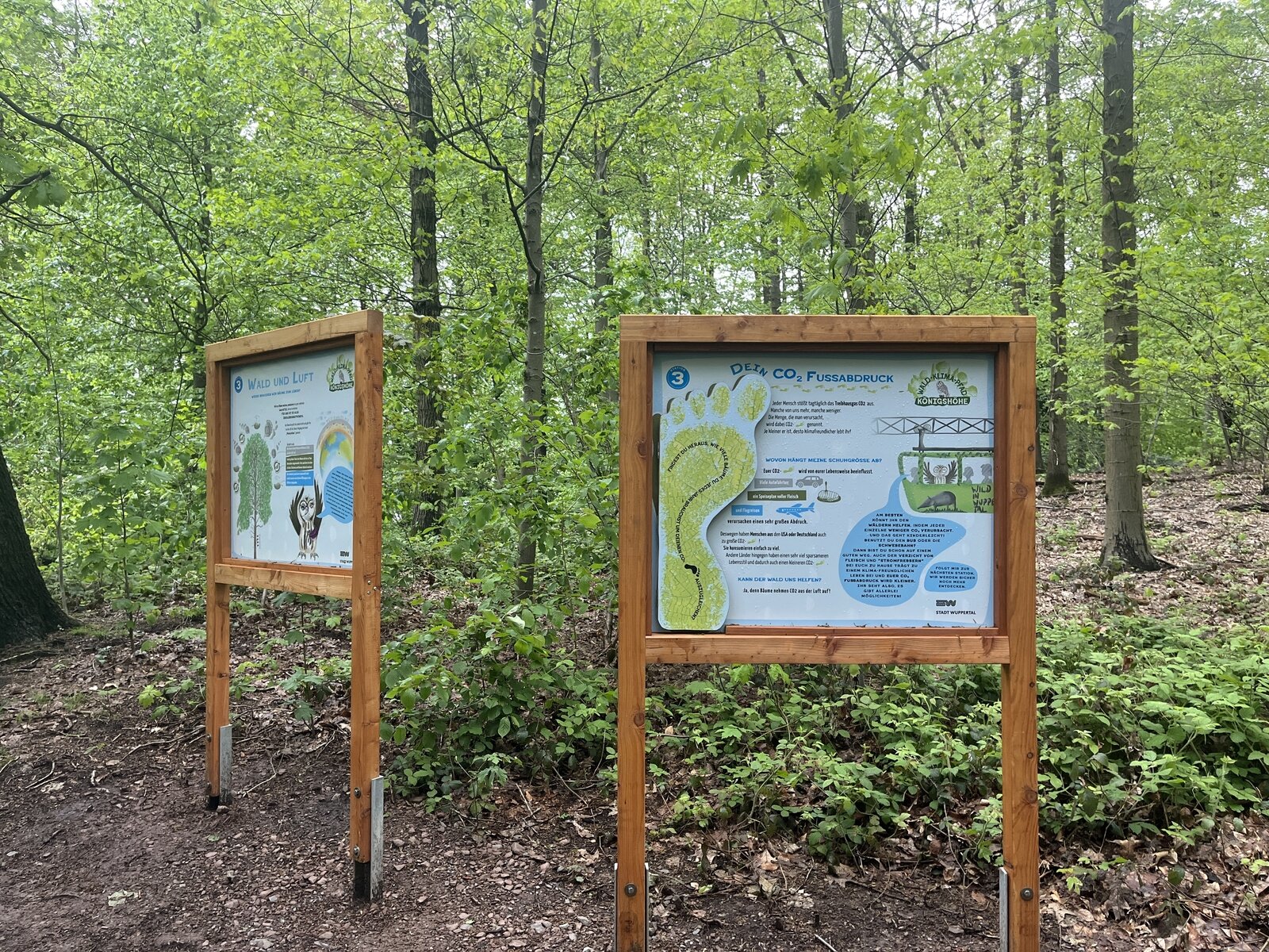 2025, wuppertal, wald, klima, waldklimapfad, lernpfad, kinder