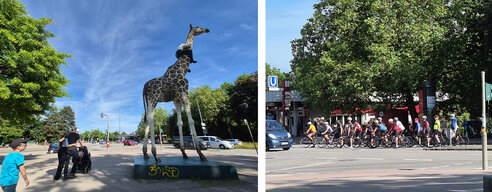 Huch! Eben träumte Hagenbecks Giraffenstatue noch vor sich hin, doch schon rollen mehr als 20 rotarische Radfreunde an Huch! Eben träumte Hagenbecks Giraffenstatue noch vor sich hin, doch schon rollen mehr als 20 rotarische Radfreunde an