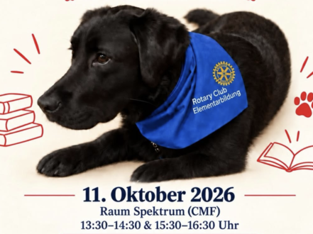 Zum Artikel