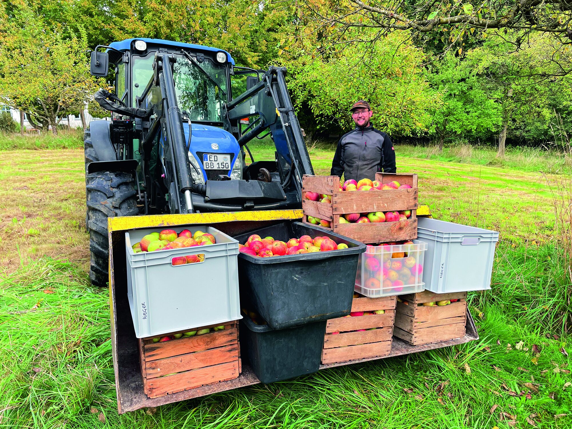 Gute Laune nach getaner Arbeit: Die fleißigen Apfelpflücker