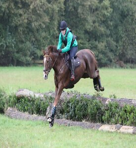 Sophie Kastner ist mit 18 Jahren das jüngste Mitglied des neuen RC Pferdesport