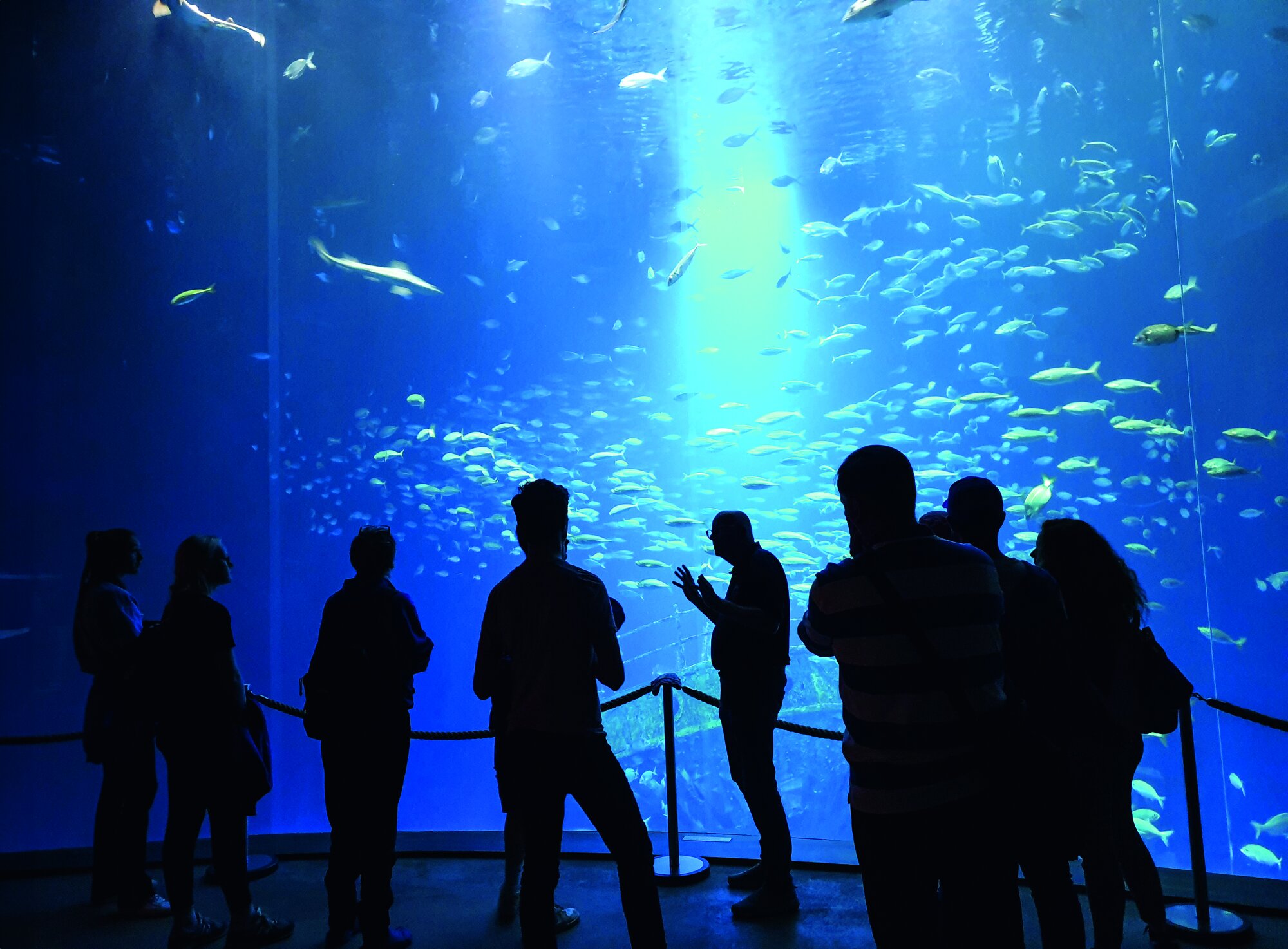 Ein RYLA-Seminar fand 2022 im Stralsunder Meeresmuseum statt