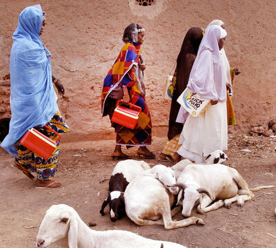 Impfhelfer in Nigeria bringen Polio-Impfungen in die Dörfer