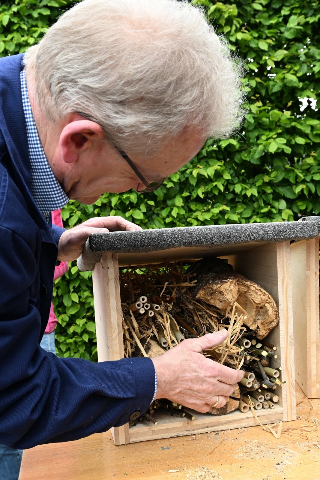 2024, bienenhotel, keep rotary fresh, action day