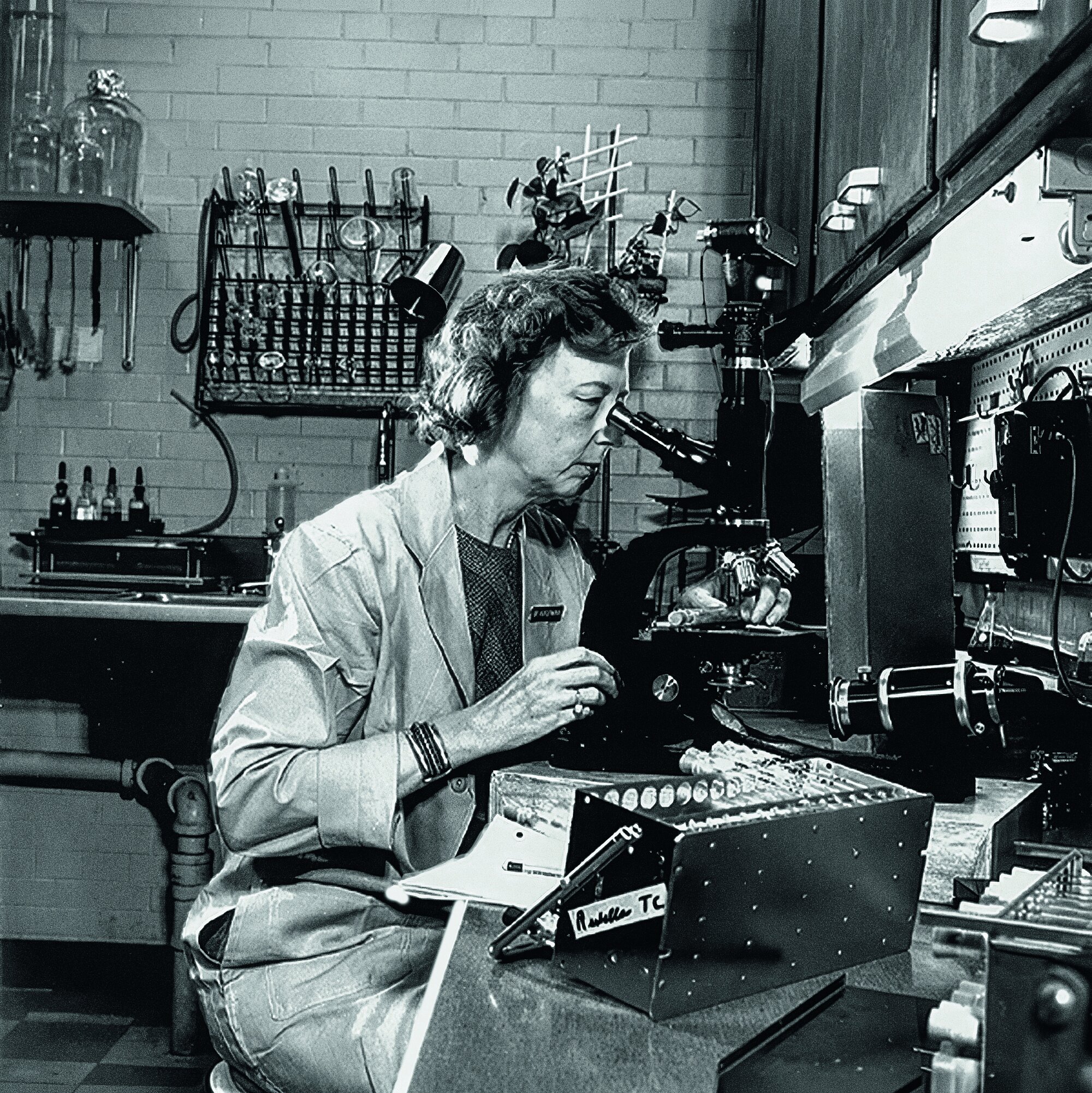 Dr. Dorothy Horstmann bei der Arbeit in ihrem Labor an der Yale University in den 1970er Jahren Dr. Dorothy Horstmann bei der Arbeit in ihrem Labor an der Yale University in den 1970er Jahren