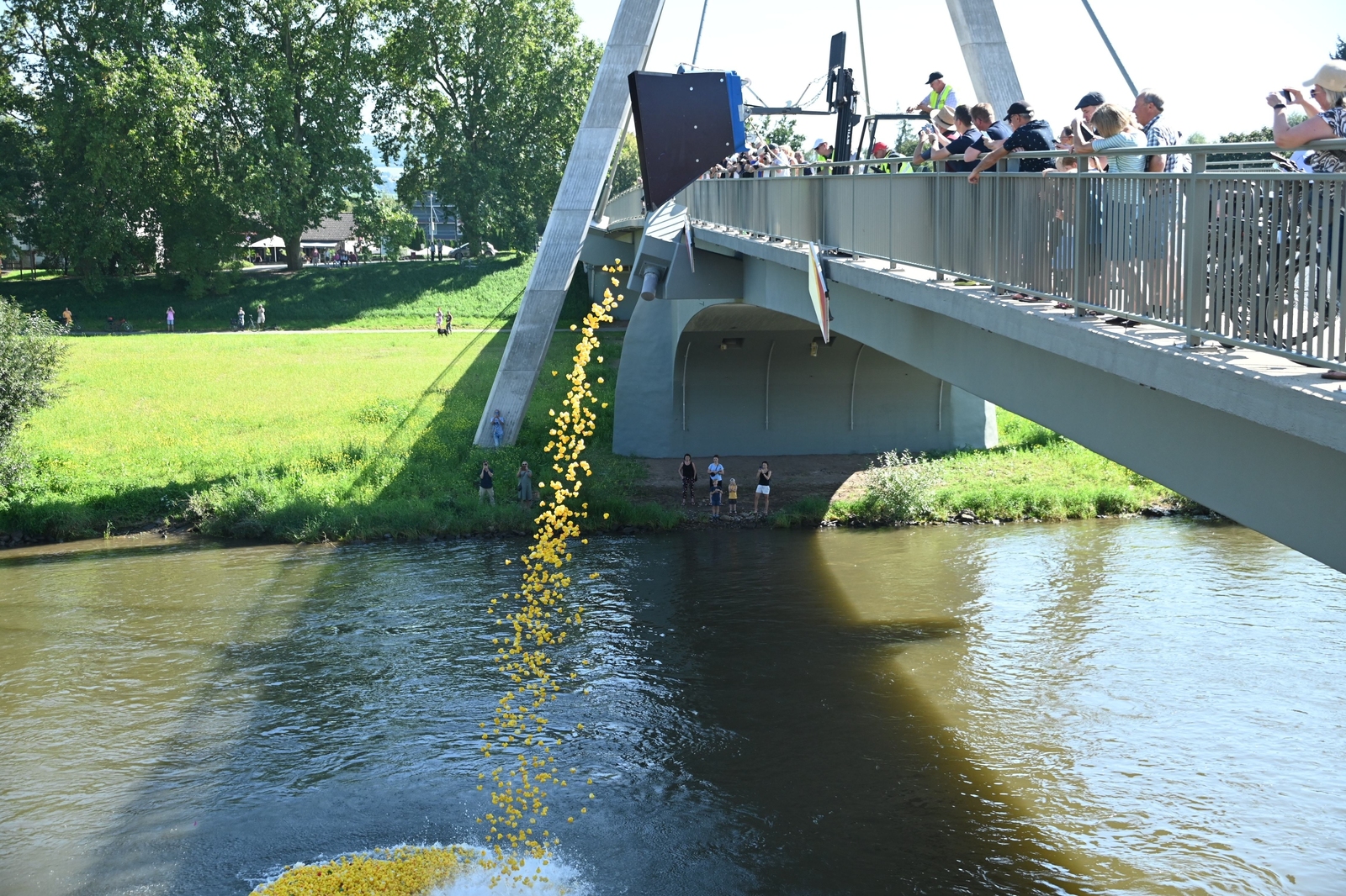 2024, entenrennen, holzminden, höxter, landesgartenschau, enten, abwurf