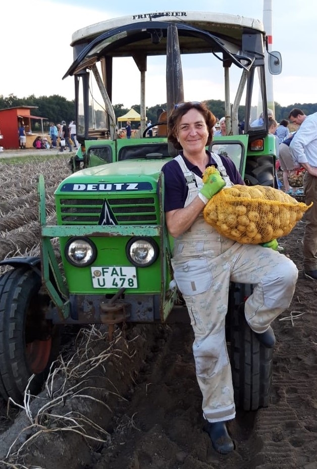 2020, kartoffeln, ernte, lese, ertrag