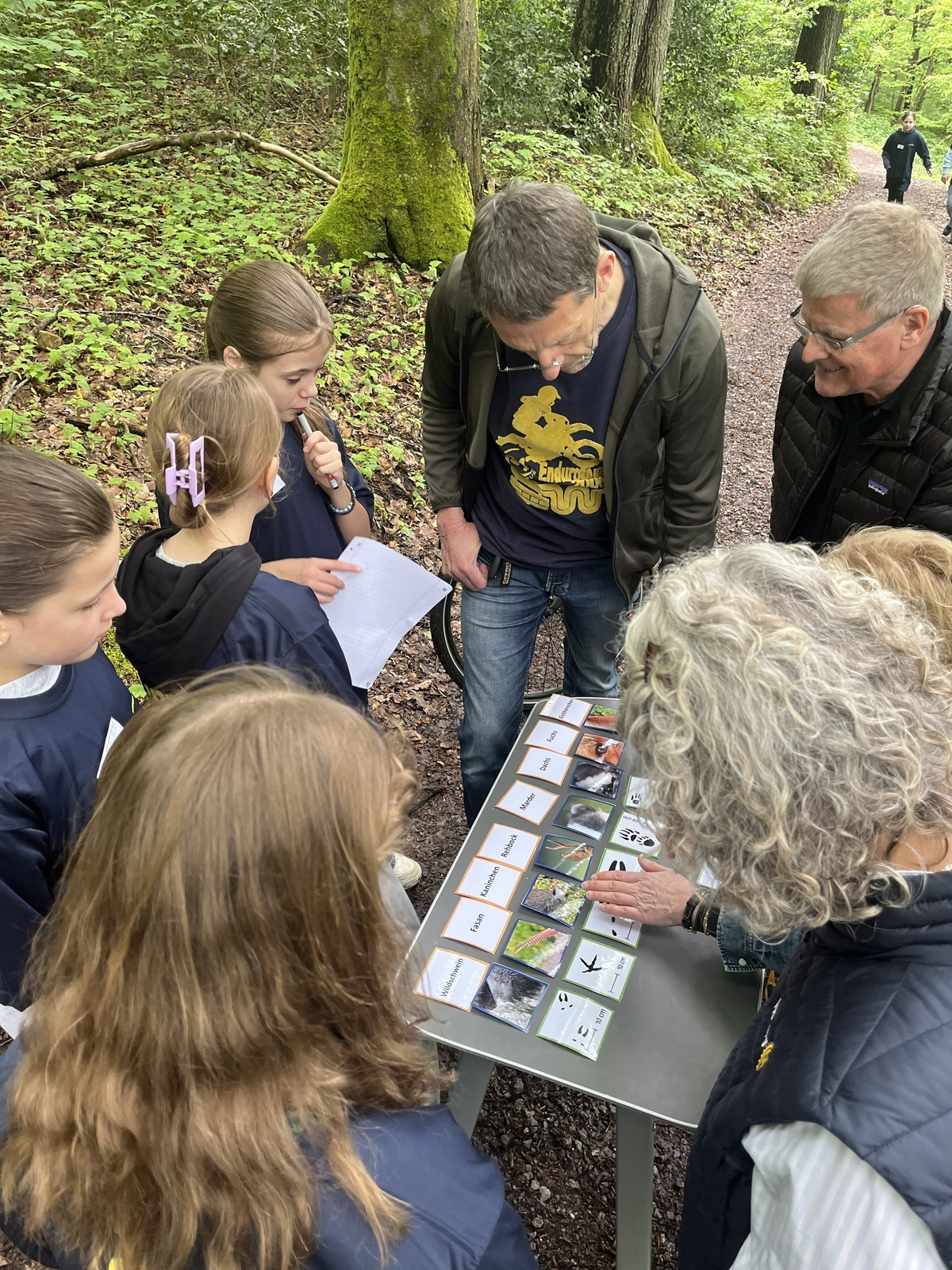 2025, wald, klima, waldklimapfad, tierspuren