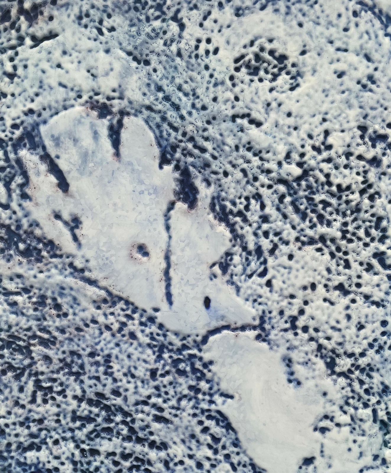 2025, veit krenn, tumorzellen