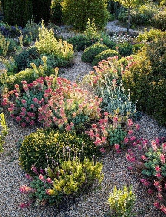 2021, gardens illustrated, garten, foto, film, podcast