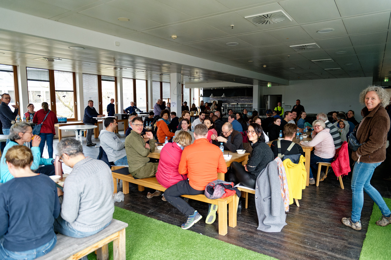 2024, frankfurt, baumpflanzen, bäume, wald