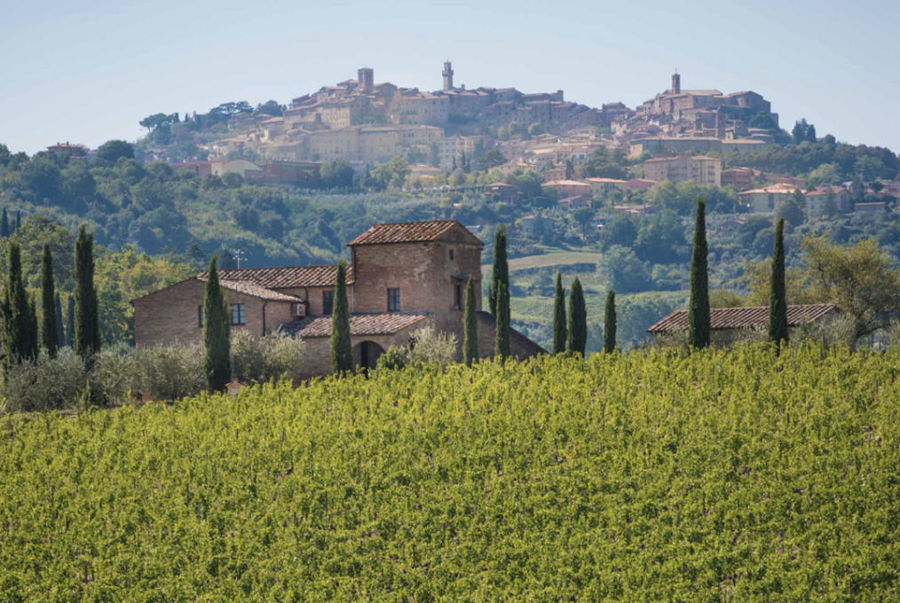 2022, ICC Austria-Germany-Italy, vino, wein, weintour, montepulciano