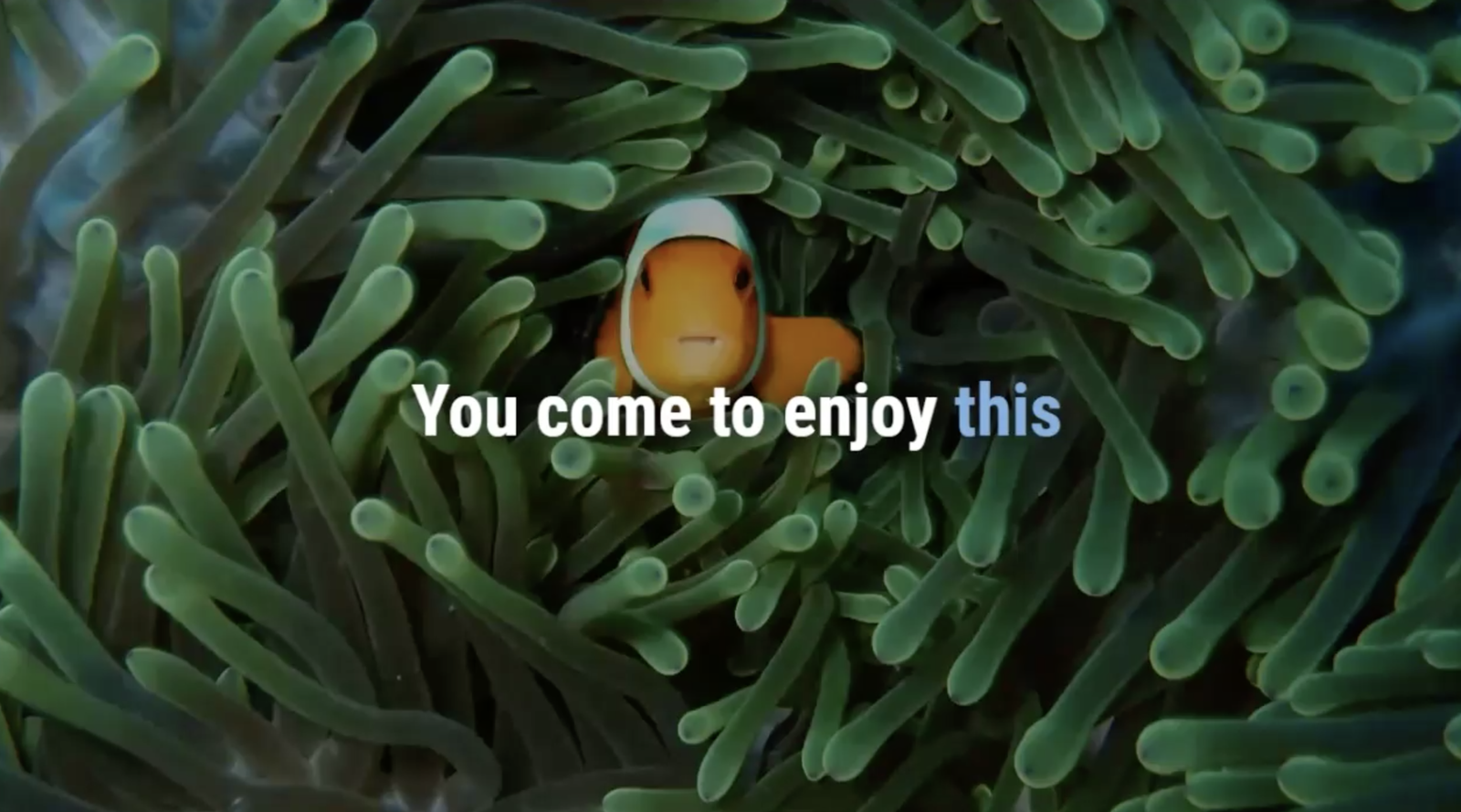 2023, nemo, riff, riffschutz, livingseas, bali