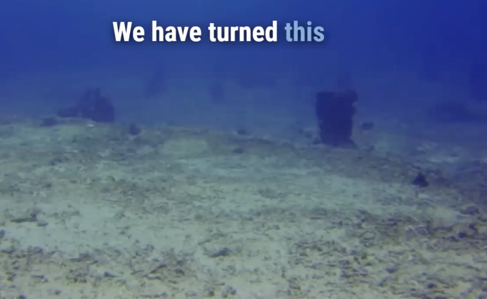 2023, koralle, riff, riffschutz, livingseas, bali