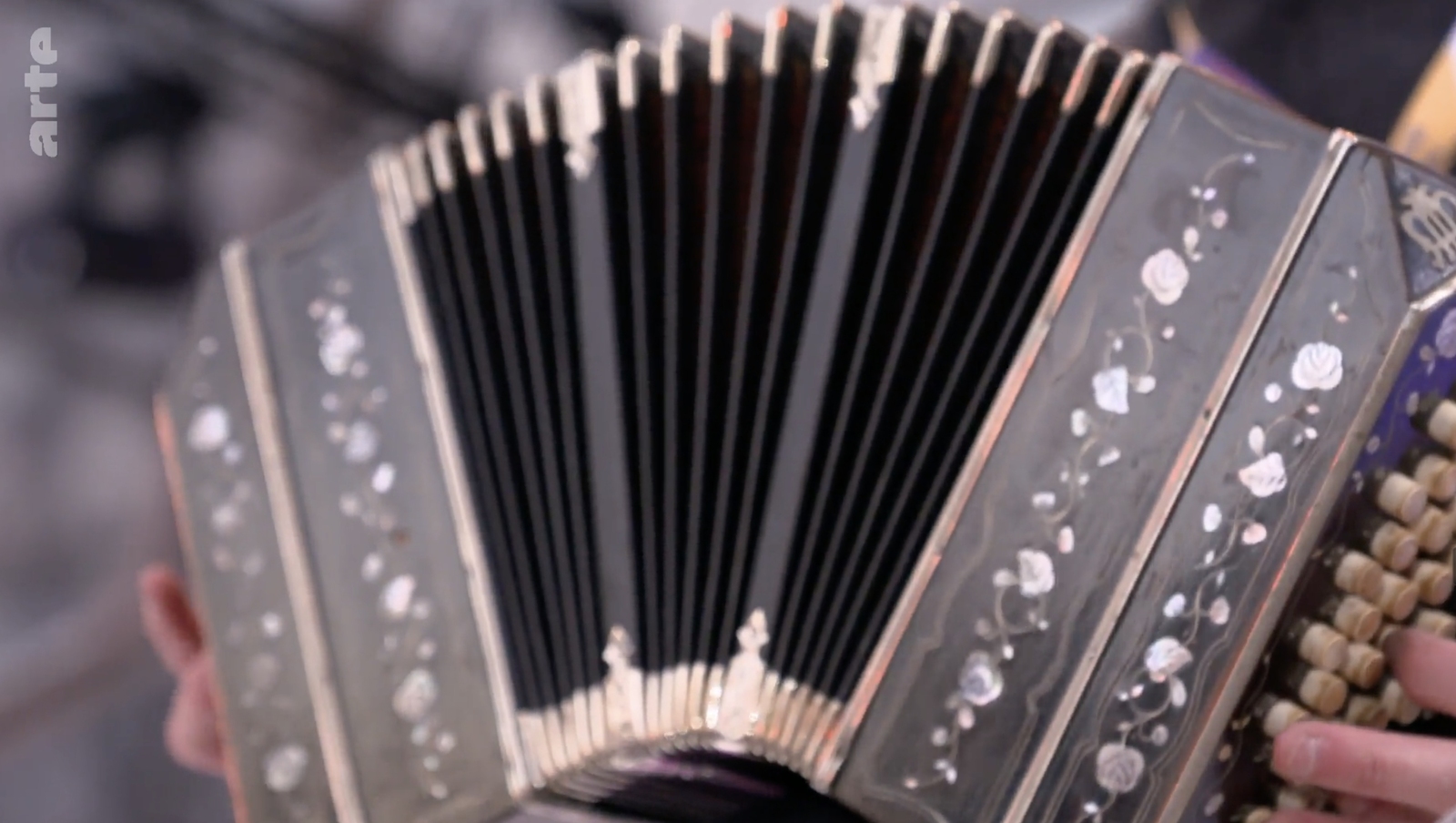 2025, tango, concertina, tango argentino, chemnitz