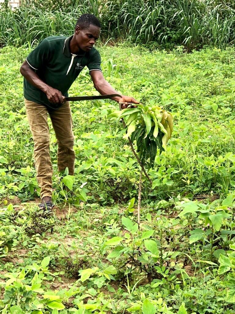 2023, d1890, hoher Nähr- und Mehrwert
