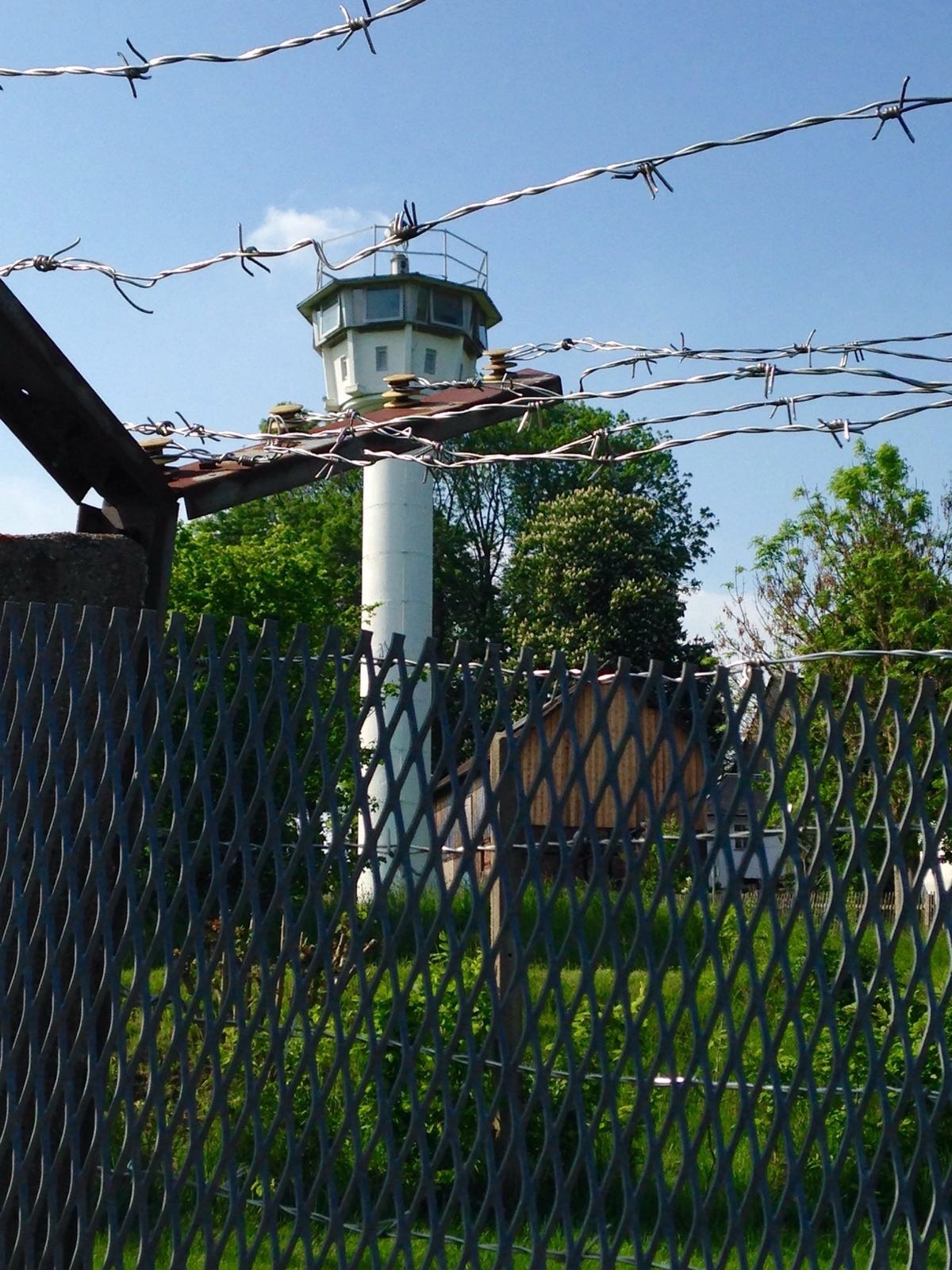 2023, d1950, grünes band