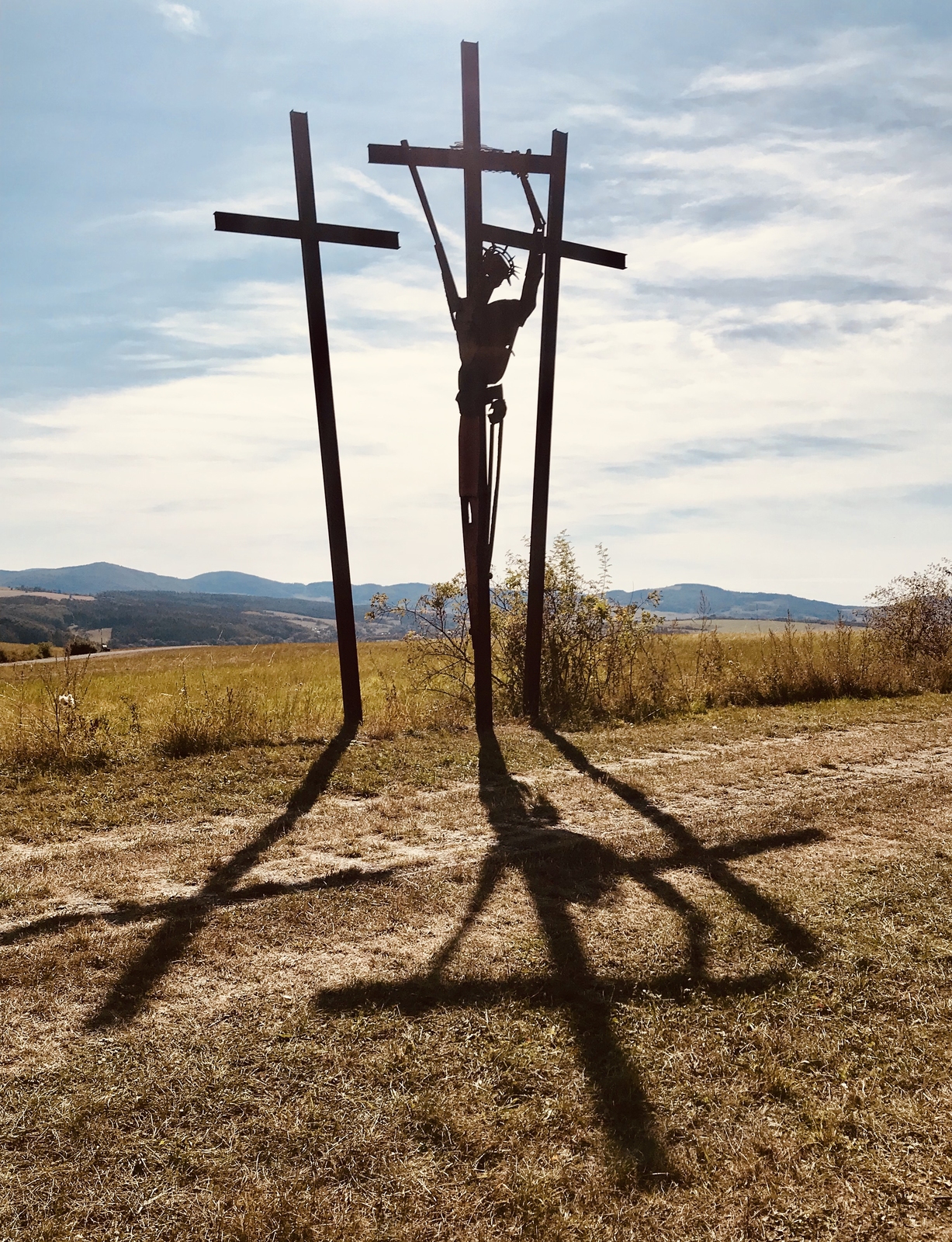 2023, d1950, grünes band