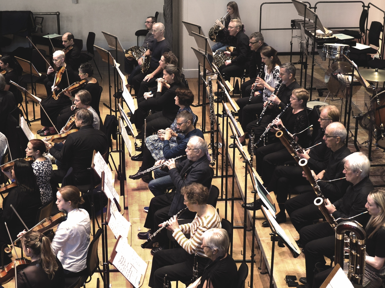 2025, edo, european doctors orchestra