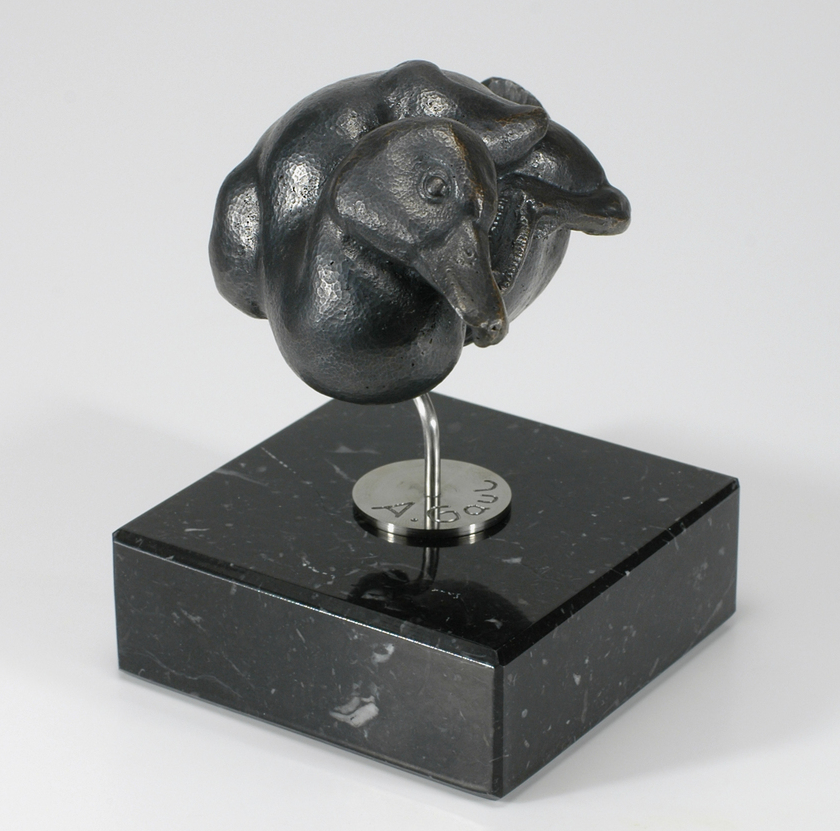 2020, gaul, entlein, staatliche zeichenakademie hanau, zeichenakademie, hanau