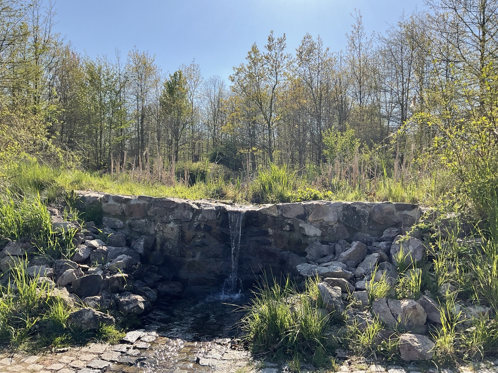 2025, freital, forstbotanischer garten