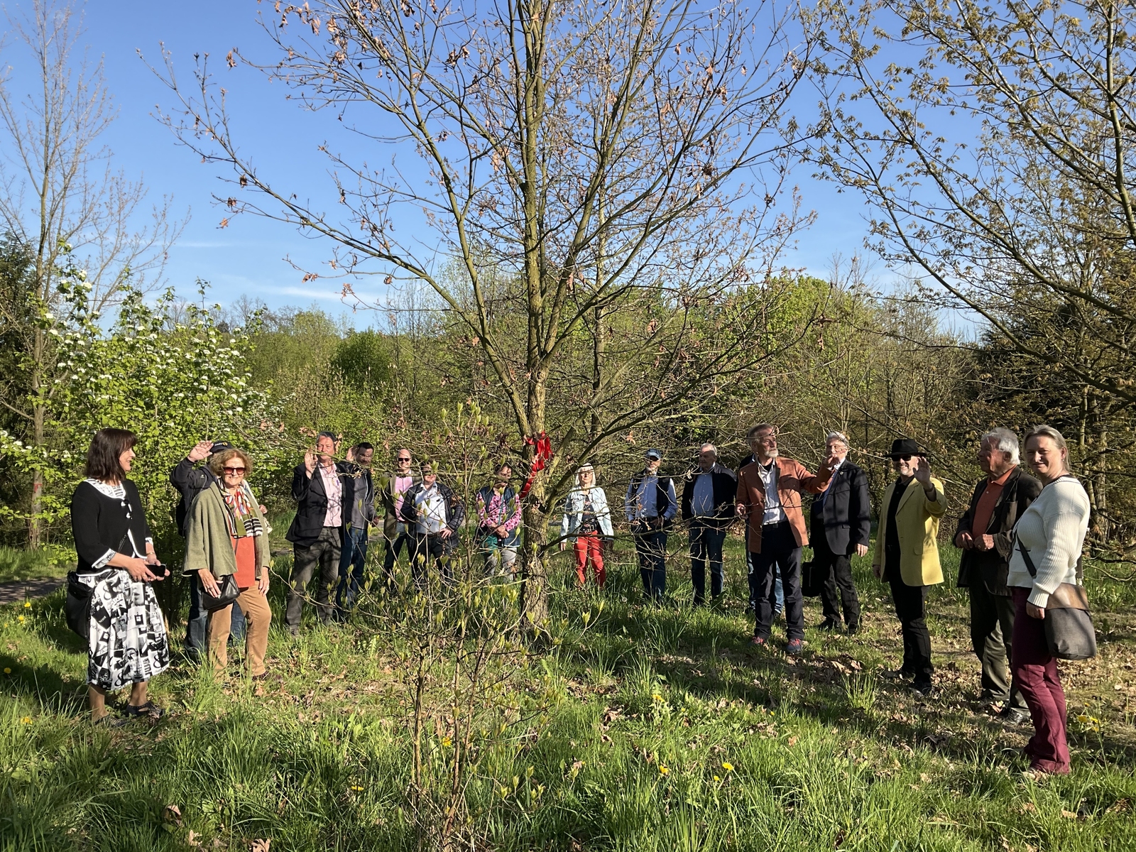 2025, freital, weisseiche, nordamerika-quartier, forstbotanischer garten 