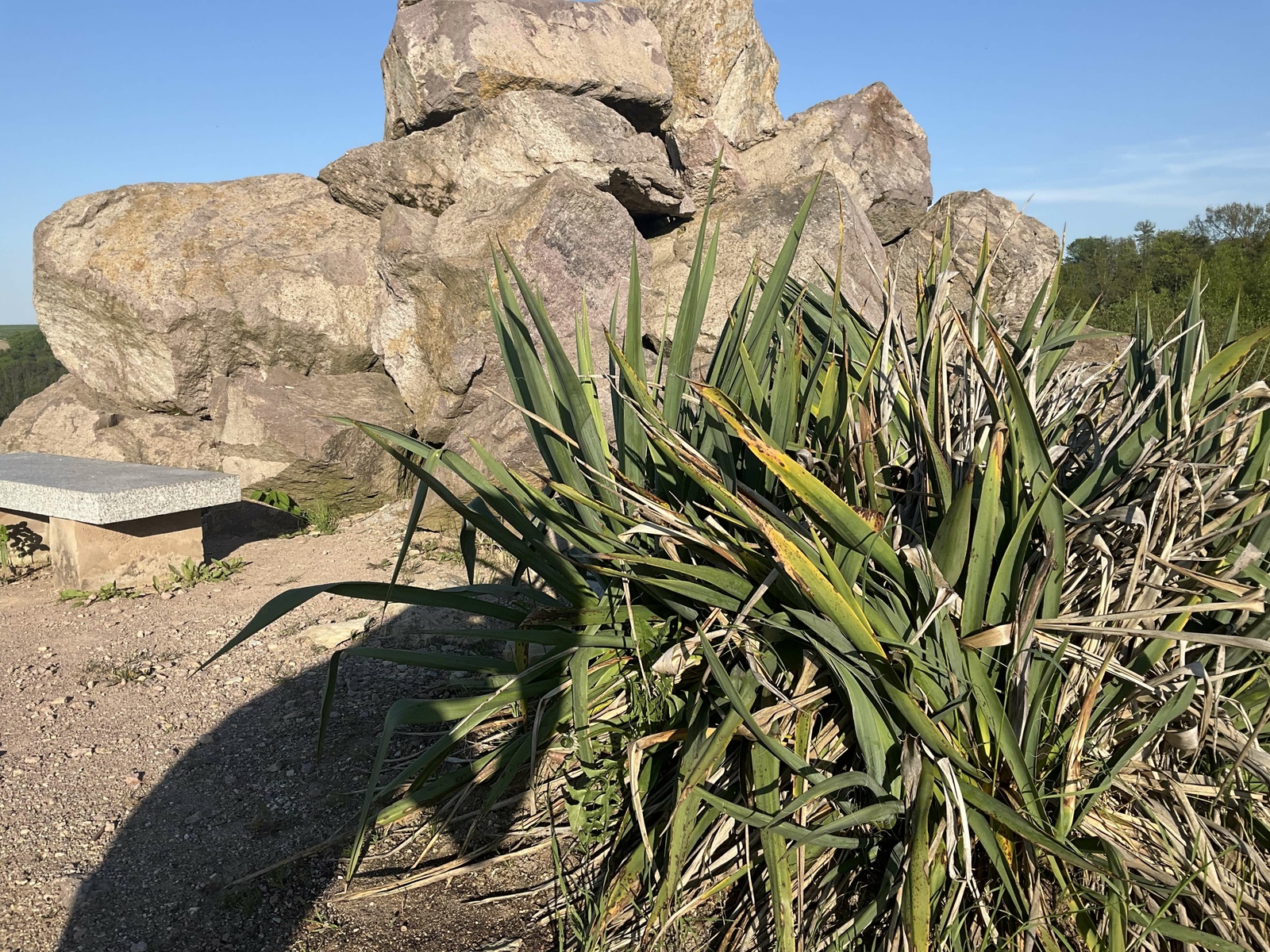 2025, freital, forstbotanischer garten