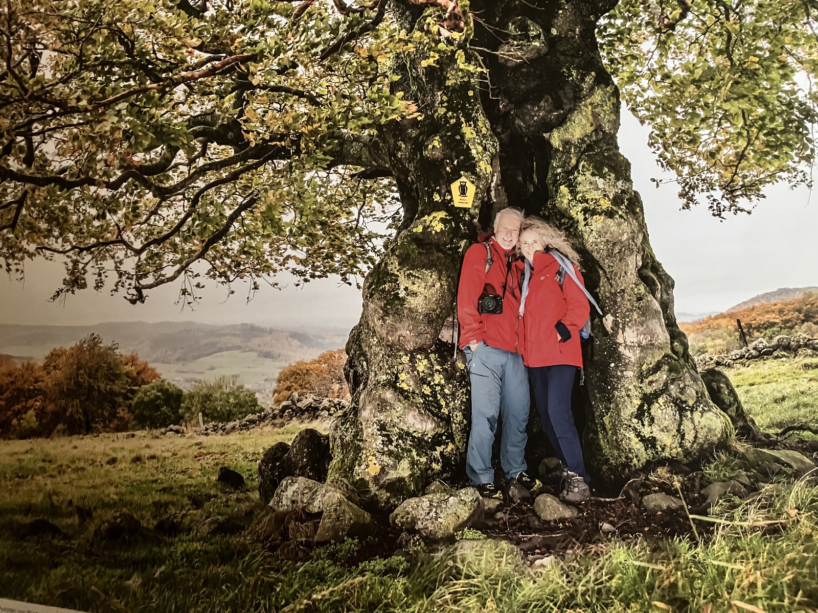 2025, rainer cornelius, gunhid classen, grünes band, deutsch-deutsche Grenze, naturschutz, grenzgschichte