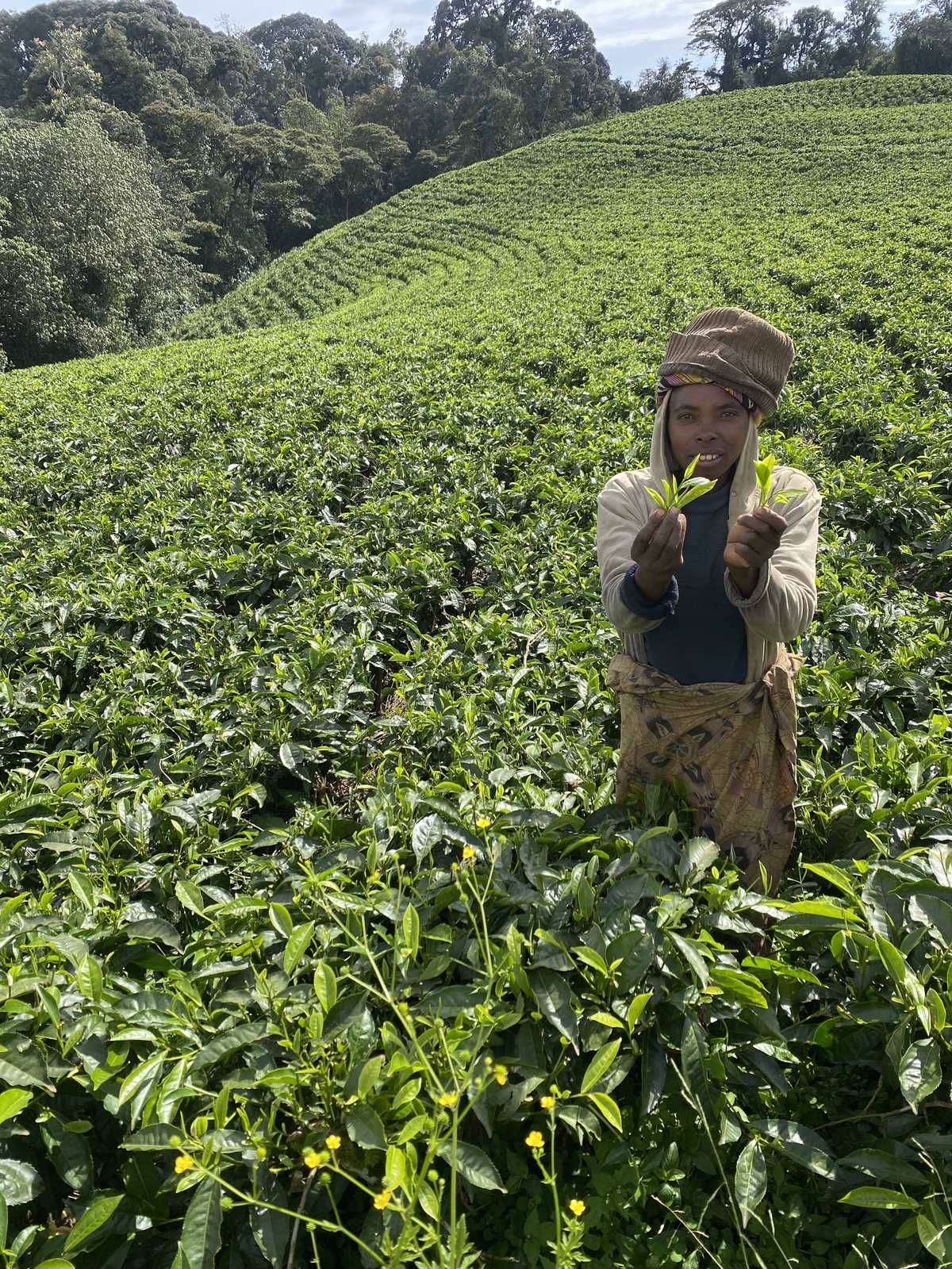 2023. ruanda, schule, jumelage, fly&help, beckmann, d1850, tee