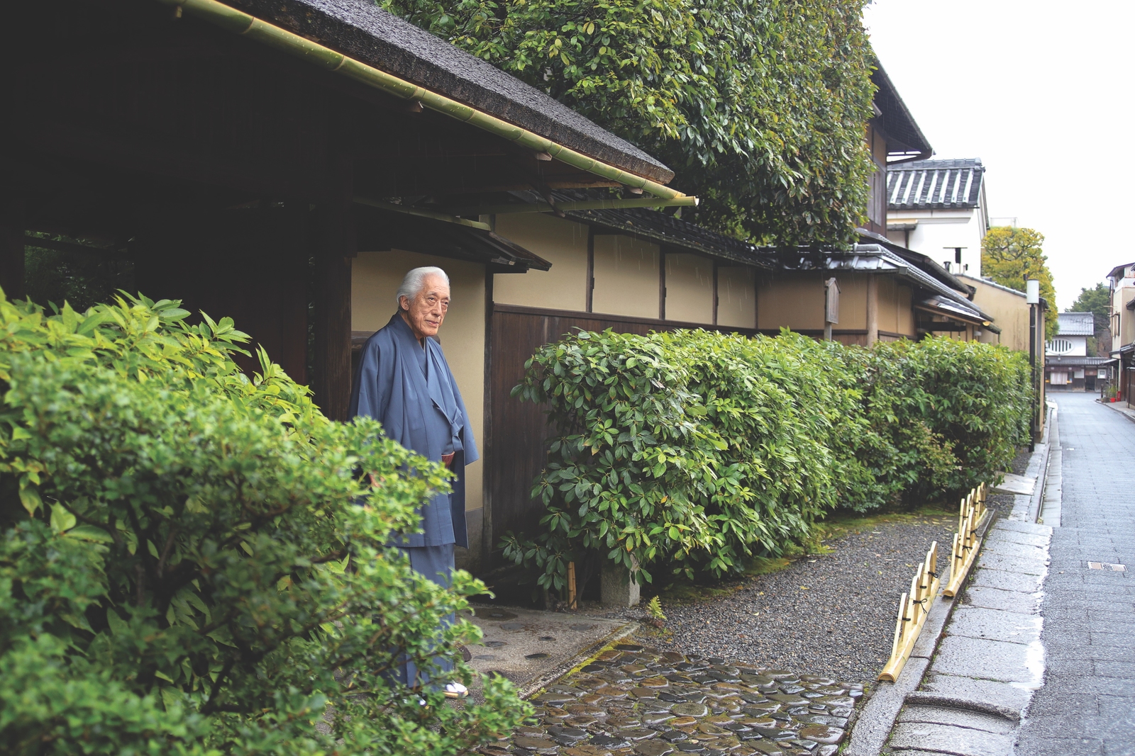 2022, teemeister, teamaster, japan, genshitsu sen