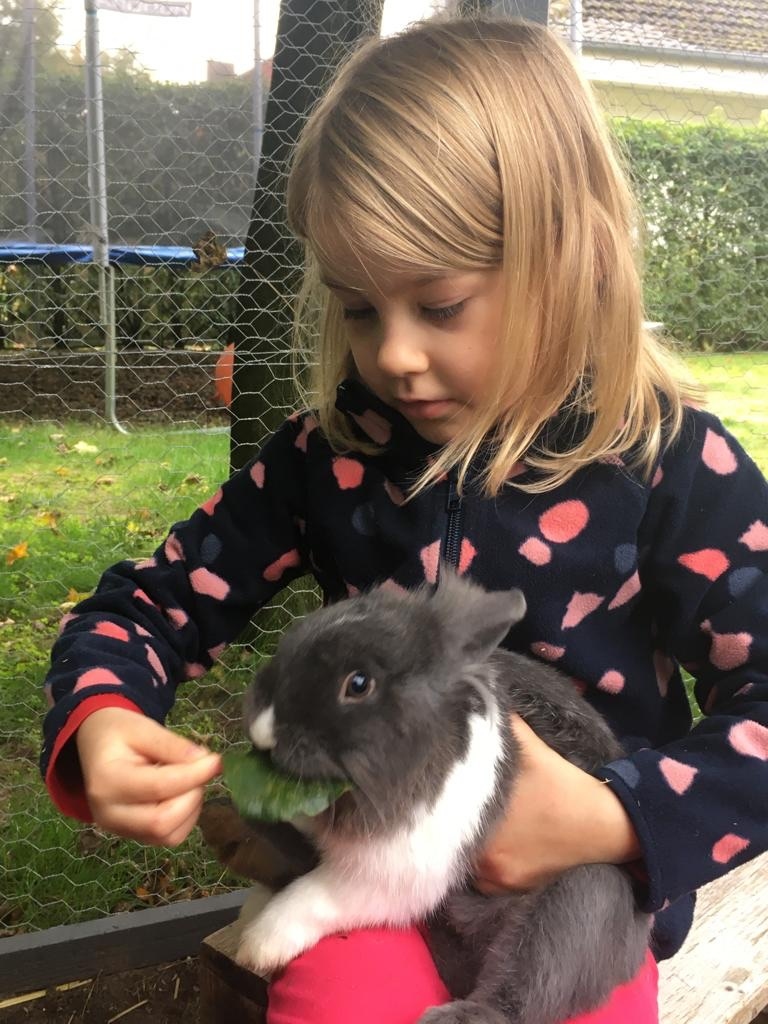 2023, d1850, kaninchen, knuddeln, verden, grundschule lönsweg