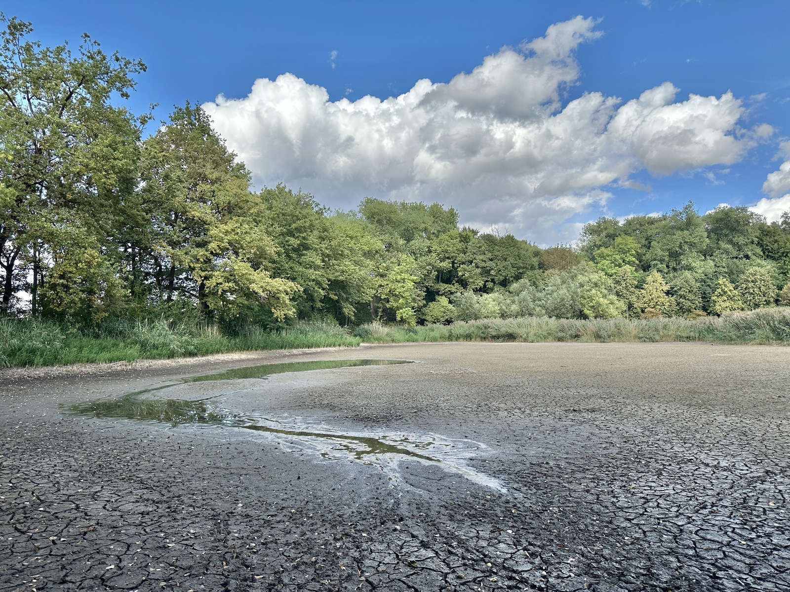 2025, exreme, extremwetter, dürre, trockenheit