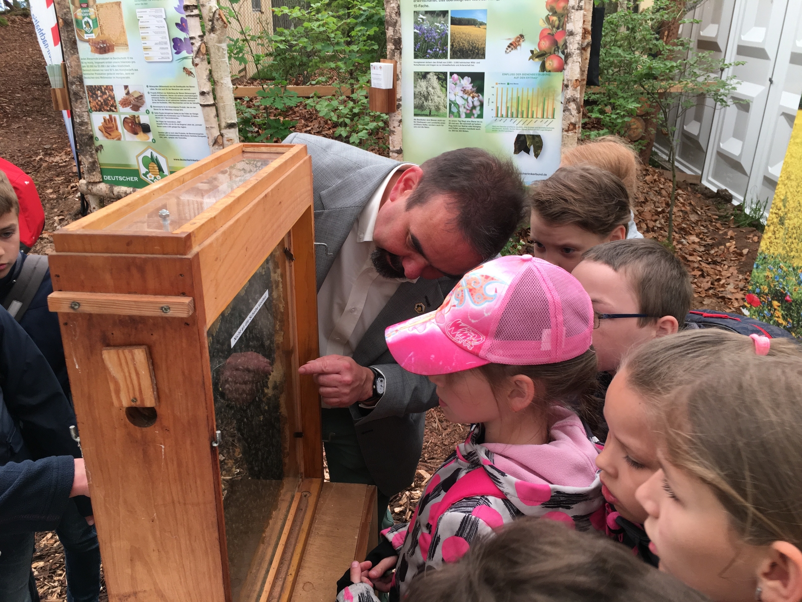 2022, d1820, Bienen hinter Glas, in der Schaubeute