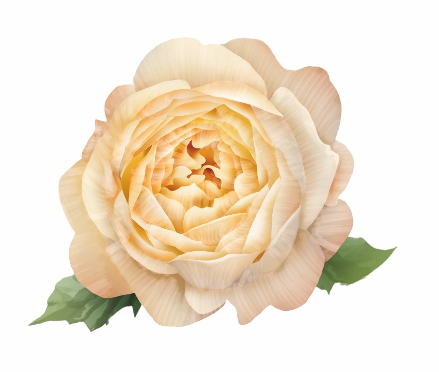 2022, titelthema, frank