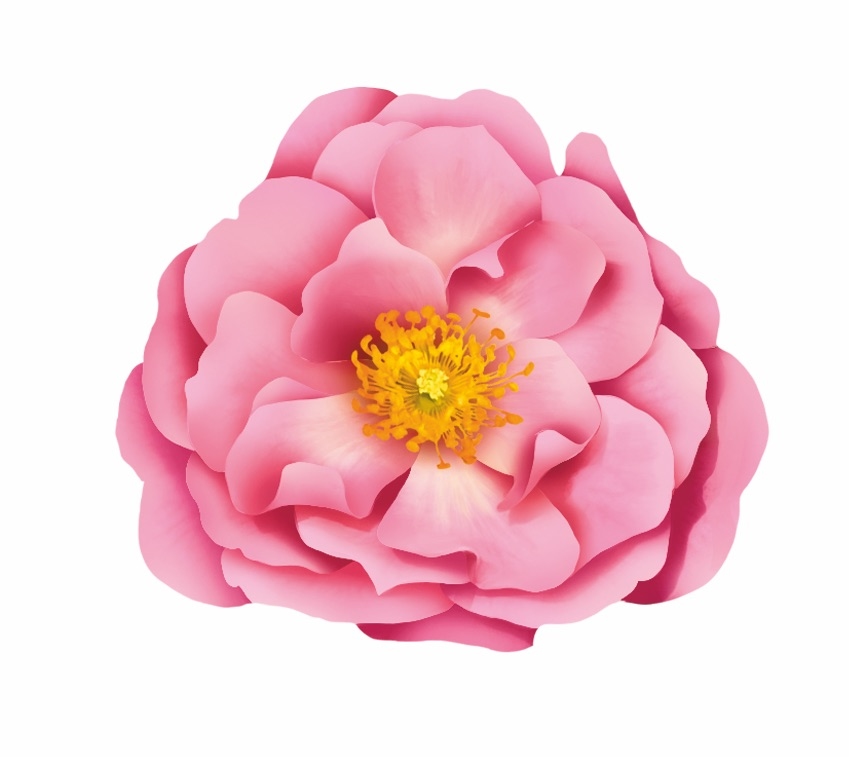 2022, titelthema, frank