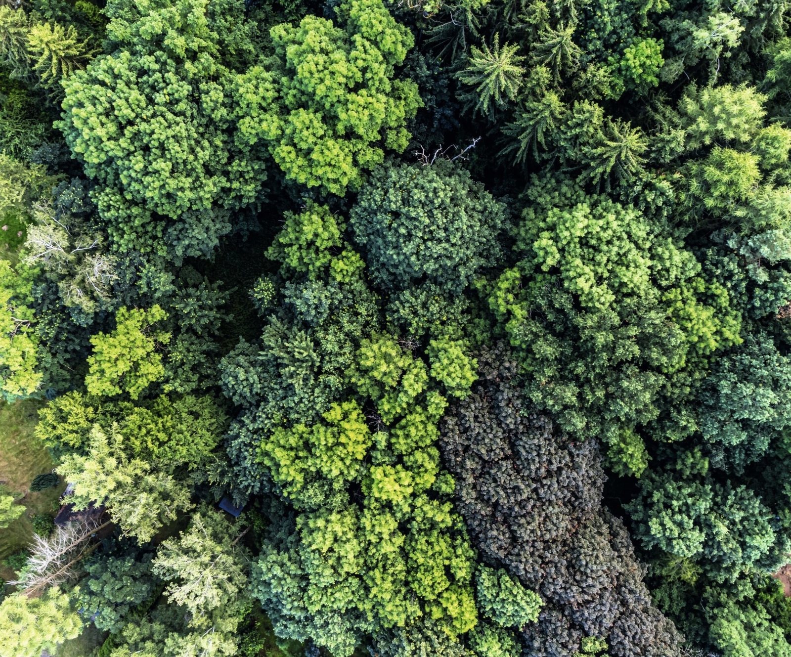 2022, jennifer jones, porträt