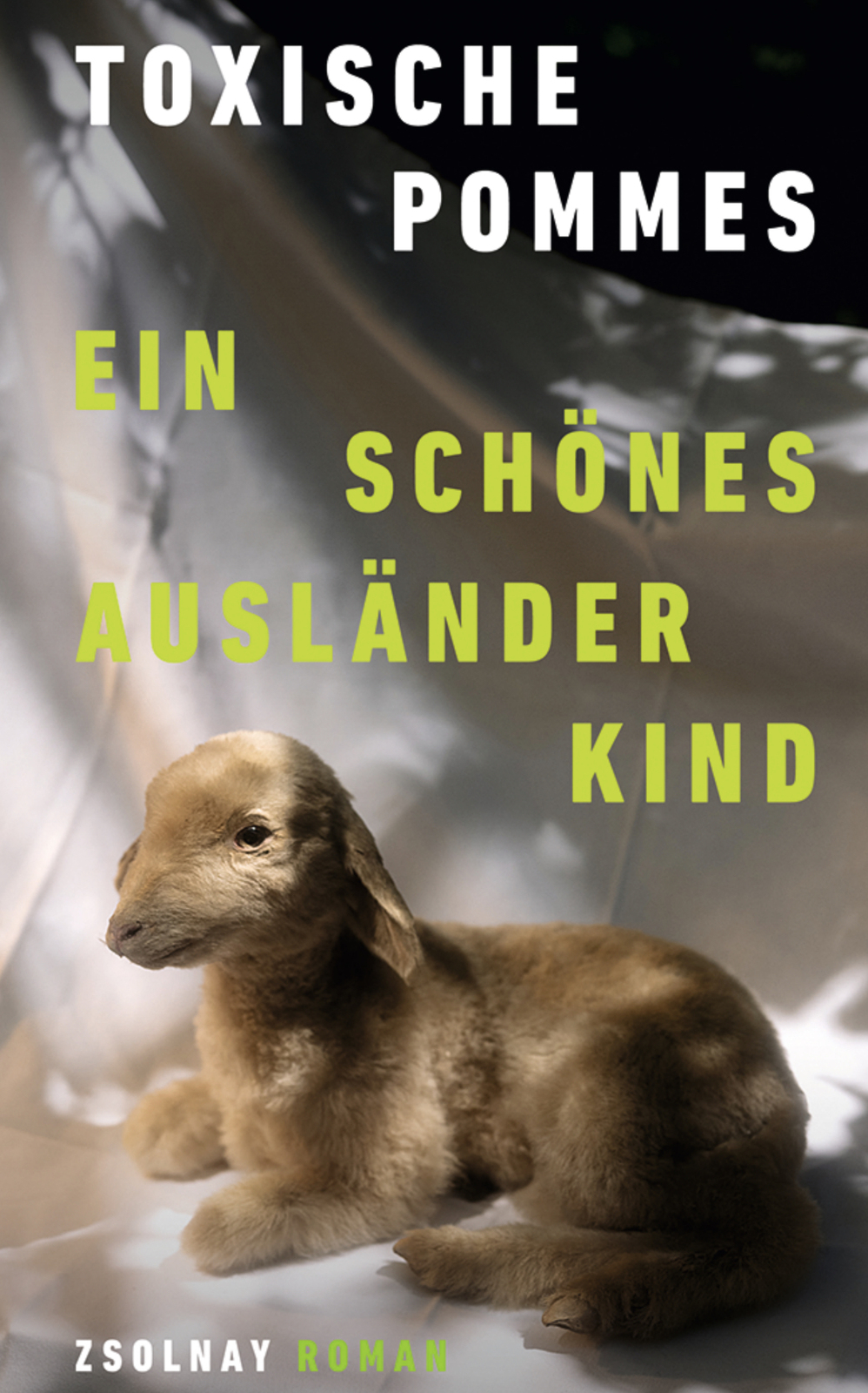 2024, buchtipp, toxische pommes