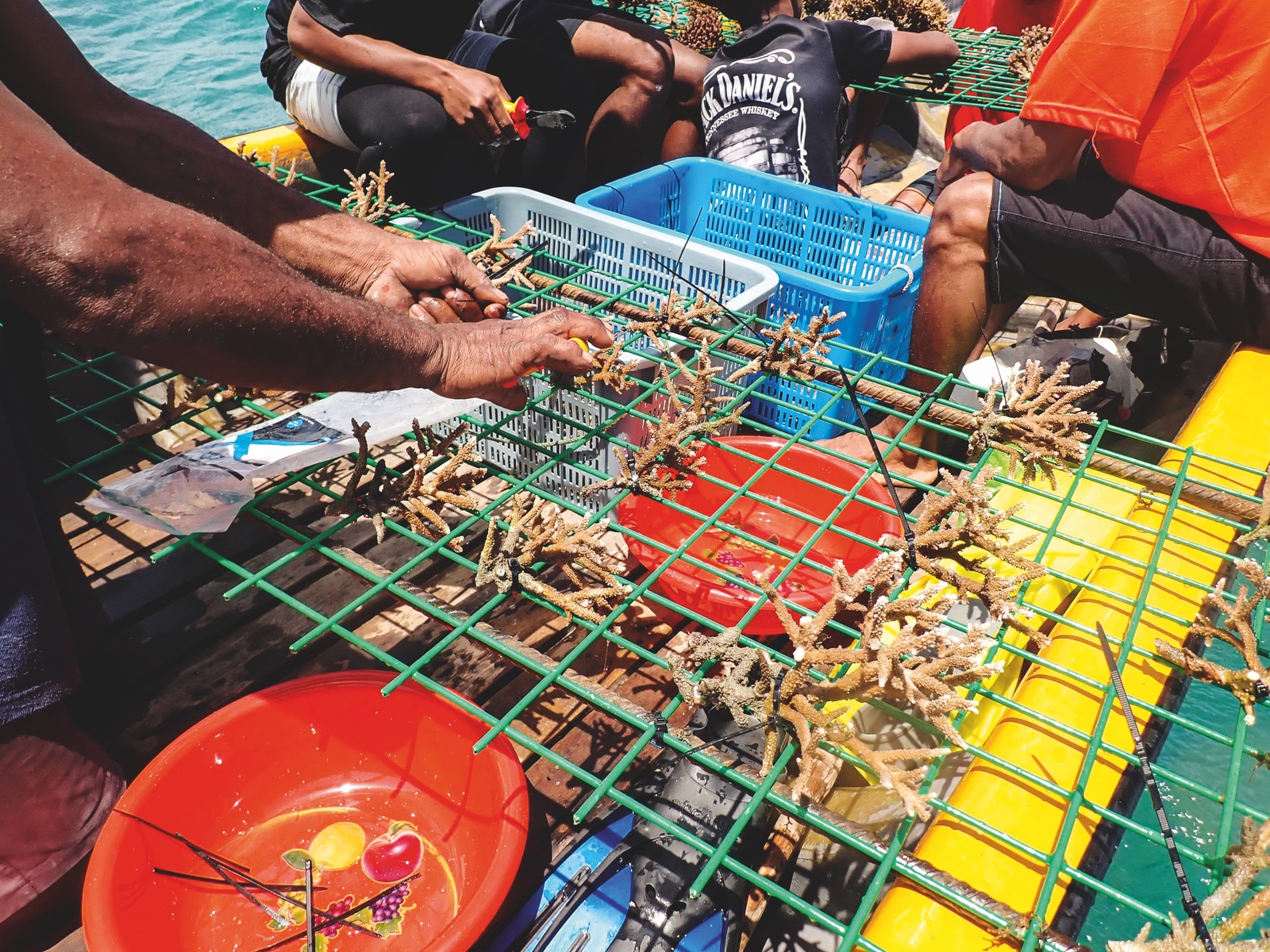 2023, foundation-schwerpunkte,