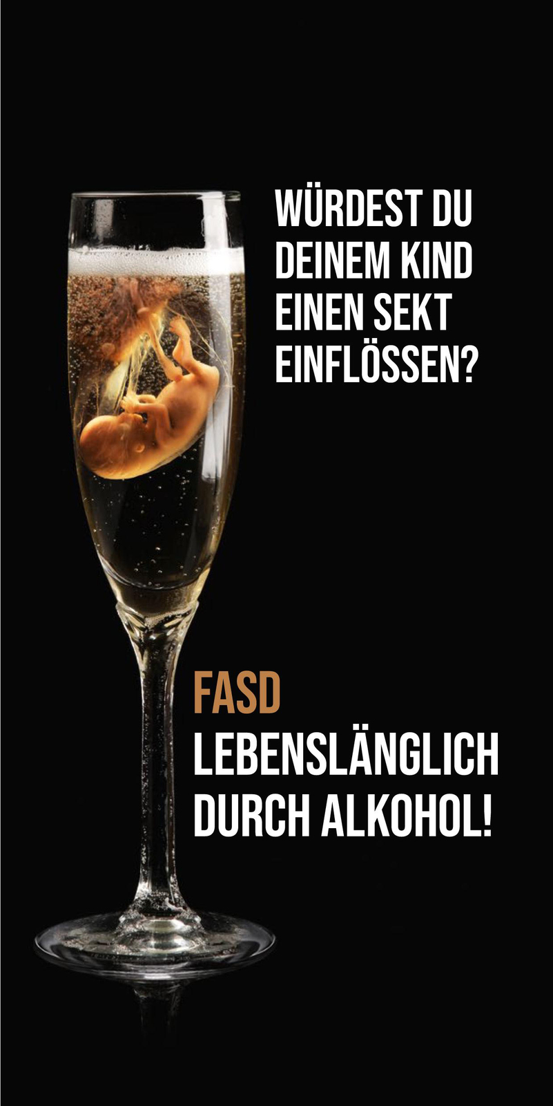 2022, fasd, alkohol, kind, flyer