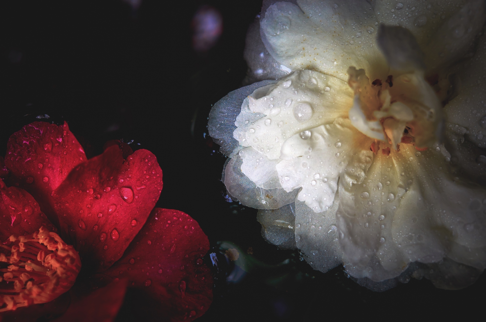 2025, titelthema, peter peter