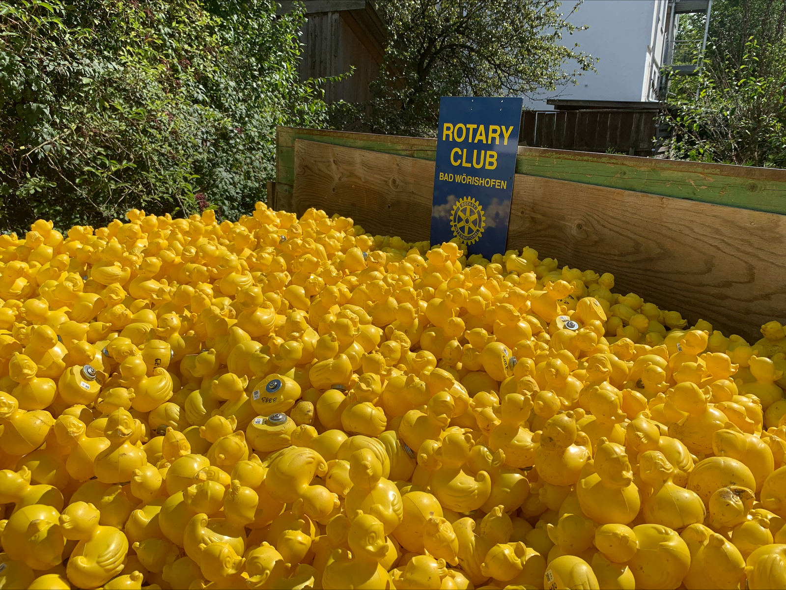 2024, entenrennen, bad wörishofen