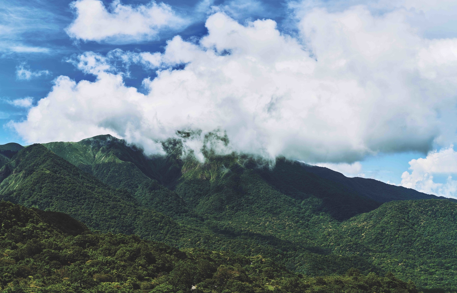 2021, faszination taipeh, januar