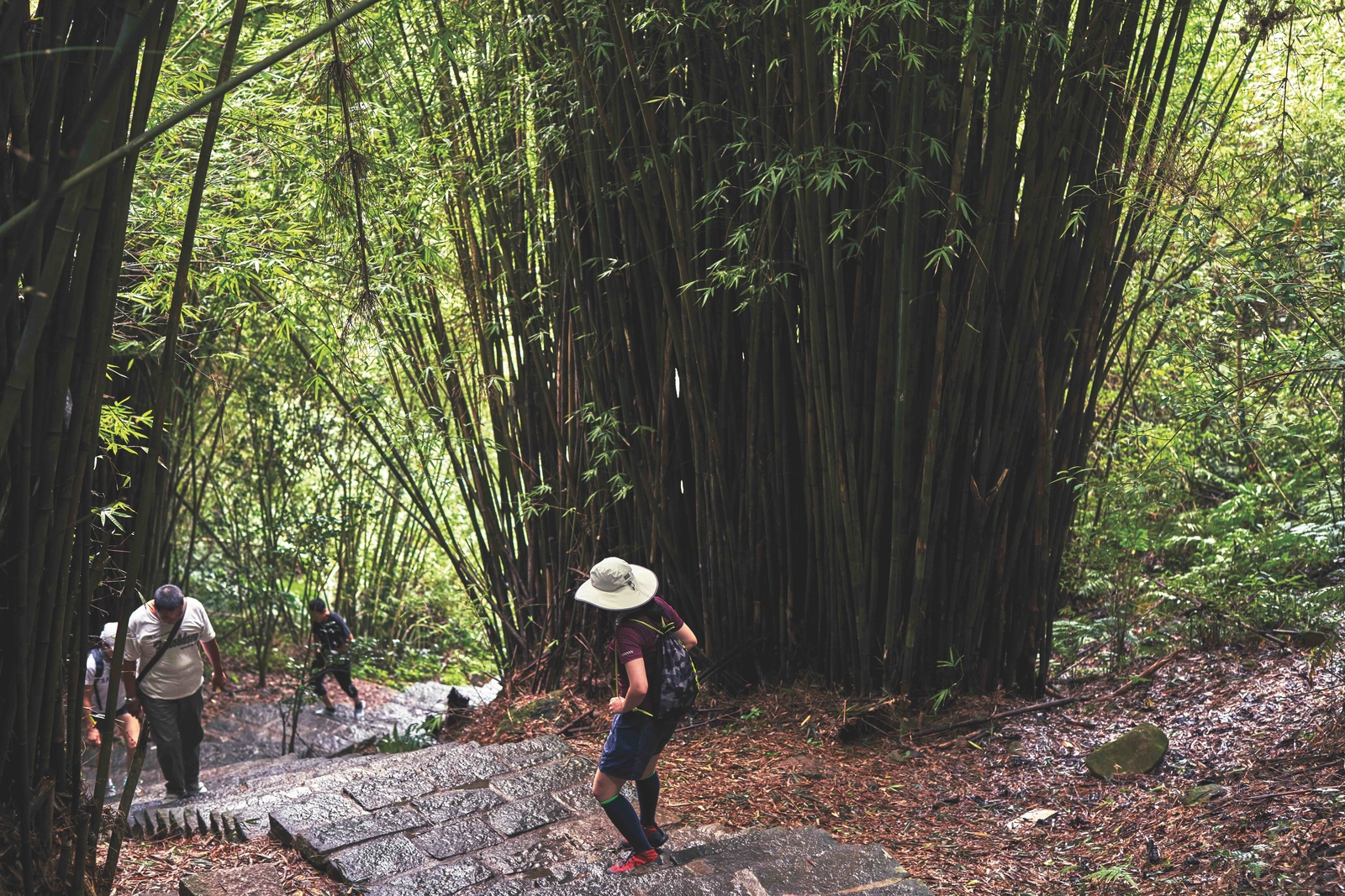 2021, faszination taipeh, januar