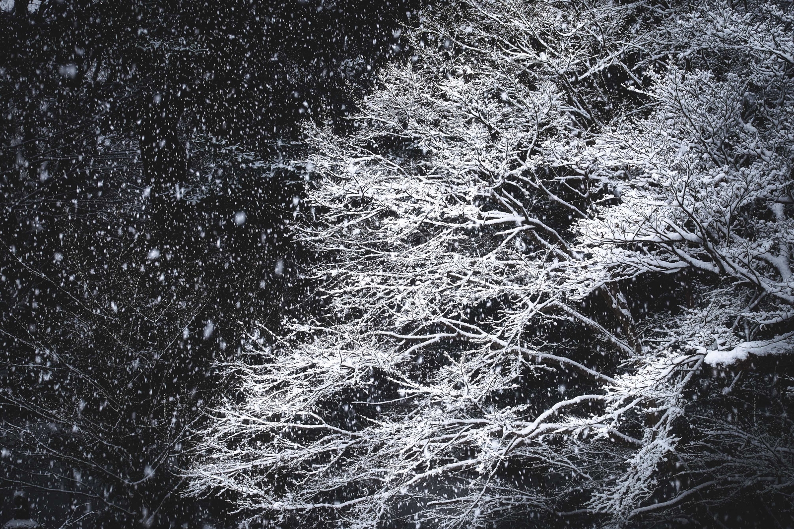 2025, titelthema, schöttli