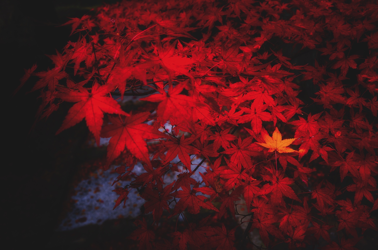 2025, titelthema, schöttli