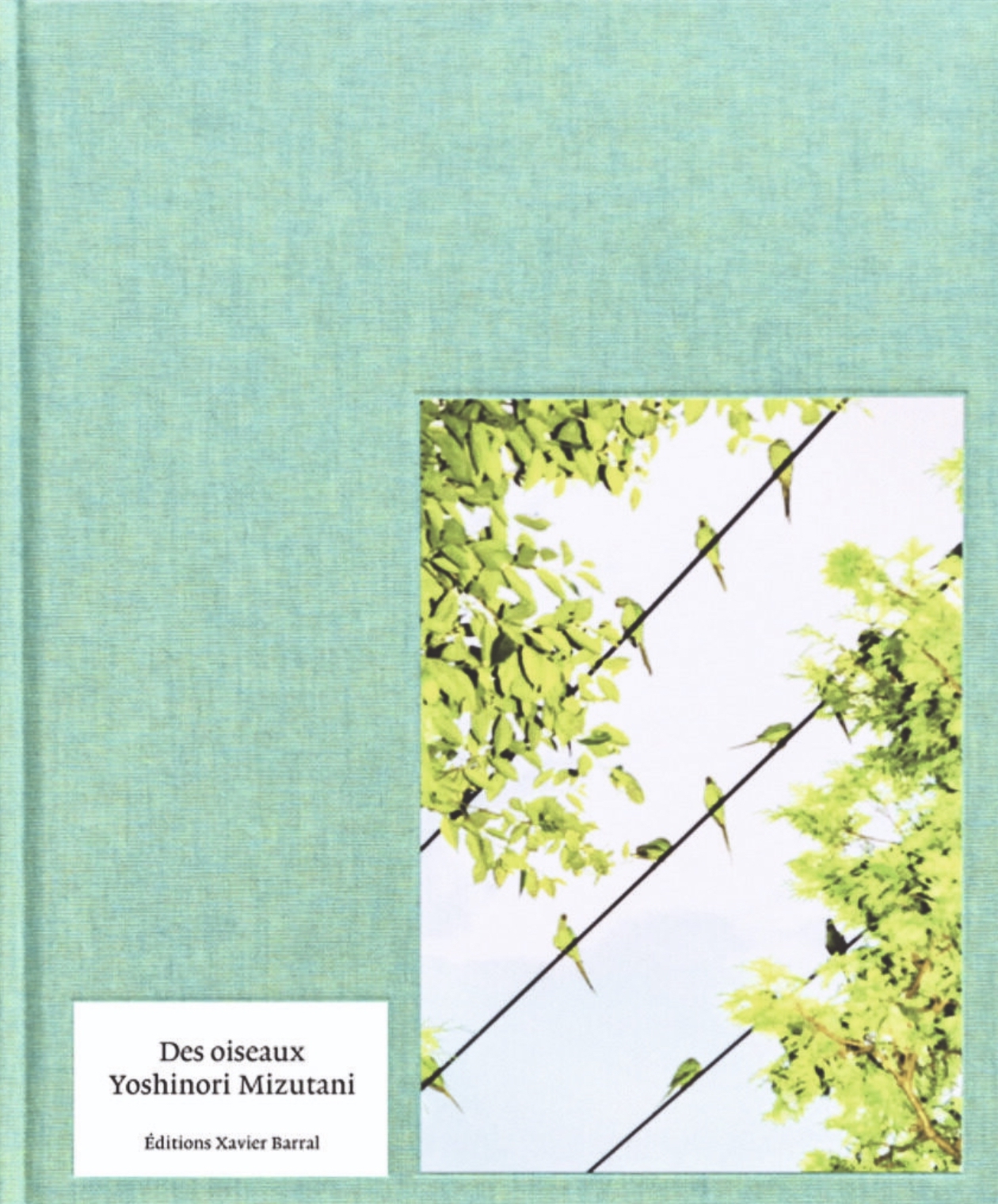 2025, titelthema, buchtipp, schöttli