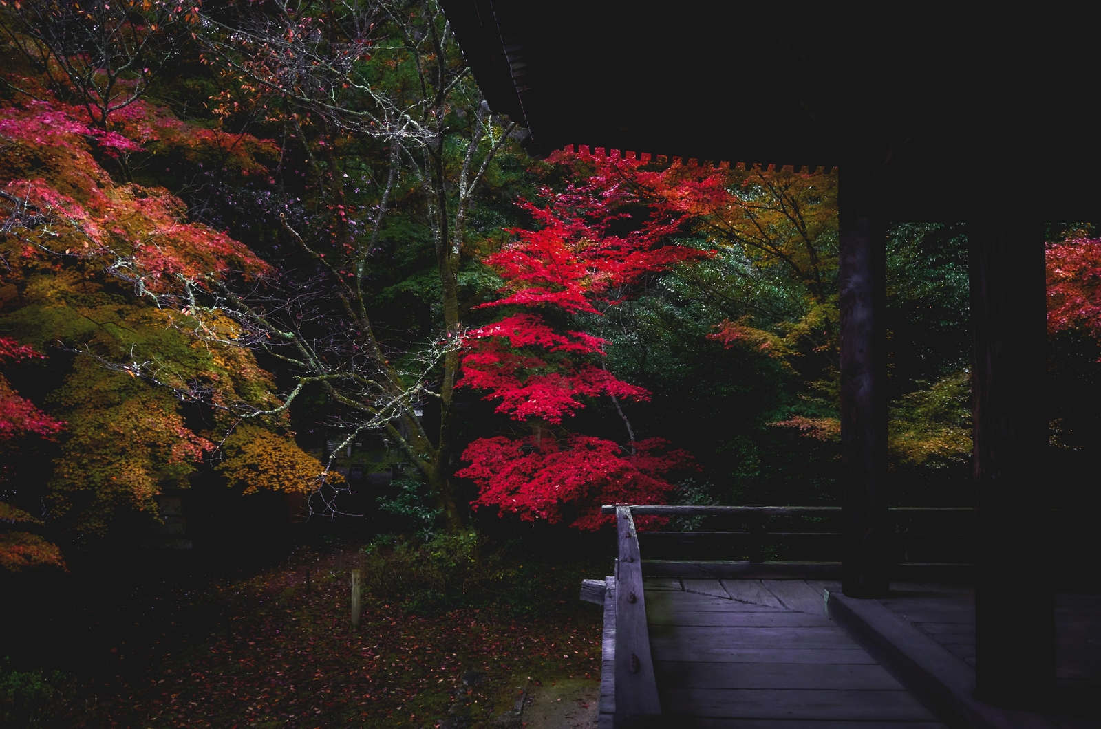 2025, titelthema, mae